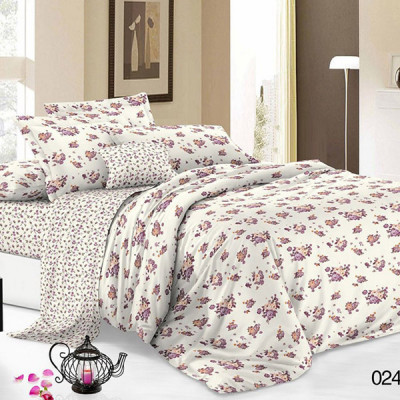 Постельное белье Cleo Pure Cotton 024-PC (размер Семейный)