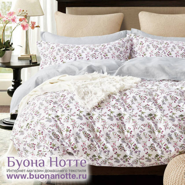 Комплект постельного белья Cleo Satin de Luxe 596-SK (размер Семейный)